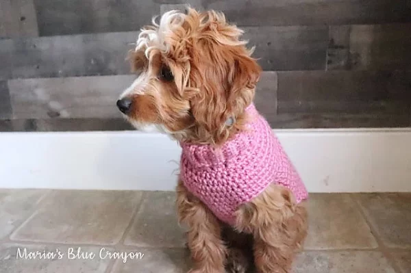 Basic Dog Sweater