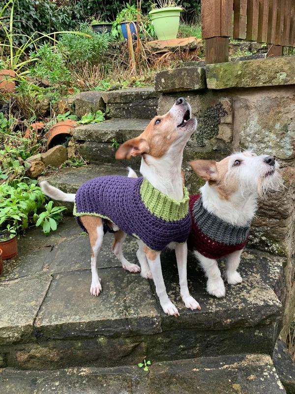 Bespoke Doggie Jumper