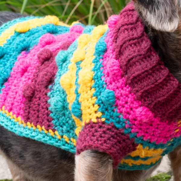 Bits & Bobbles Crochet Dog Sweater