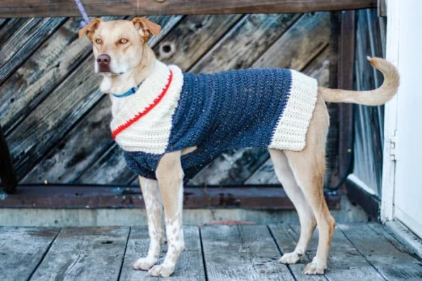 Easy Crochet Dog Sweater