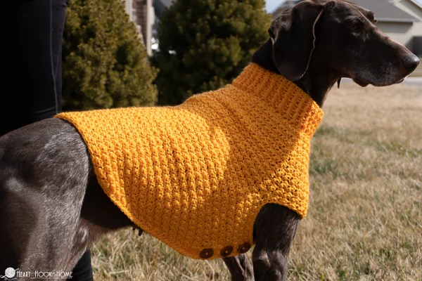 Large Dog Sweater