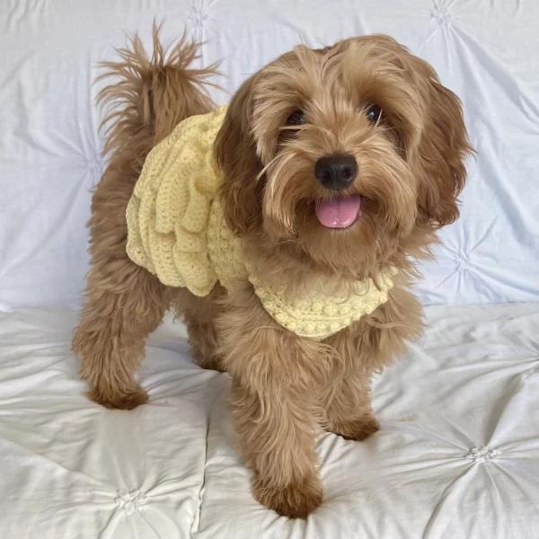 Lottie’s Spotty Doggy Dress