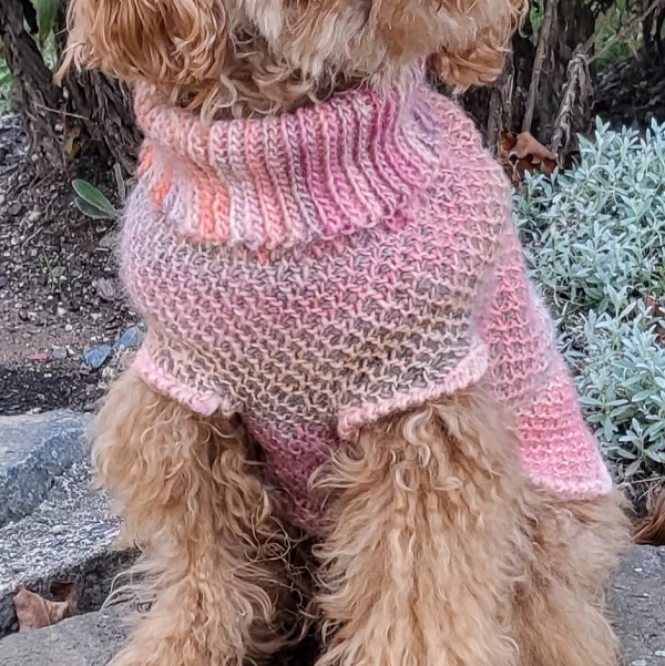 Nola’s Sweater