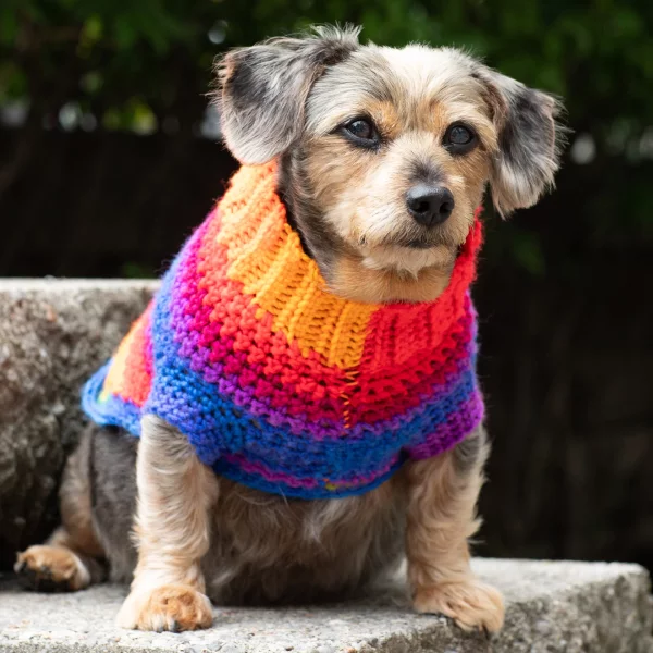 Pup’s Favorite Crochet Sweater