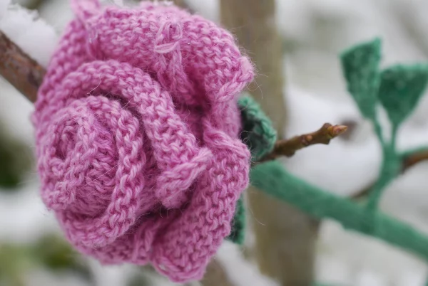 Rose Free Knitting Pattern