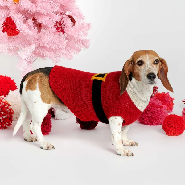 Santa Dog Coats