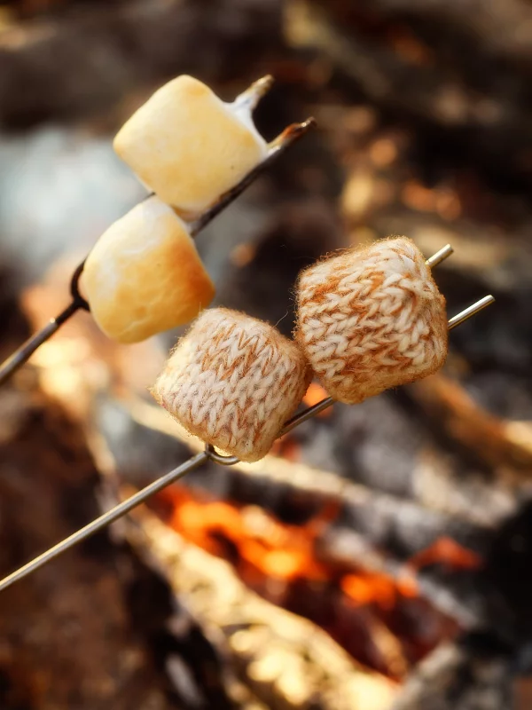 Toasted Marshmallows