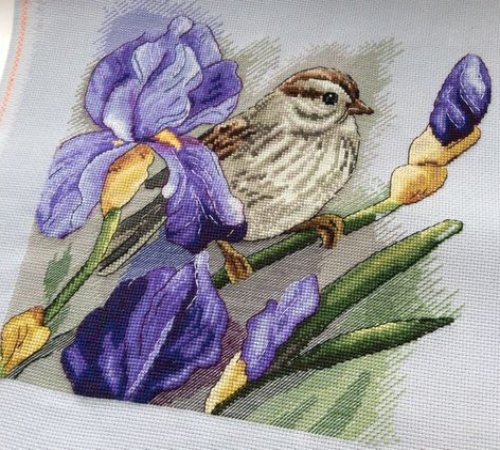 Iris and Bird - Free Cross Stitch Pattern