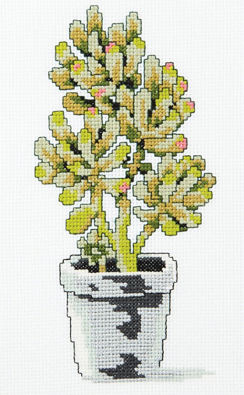 Jelly Bean Succulent - Free Cross Stitch Pattern