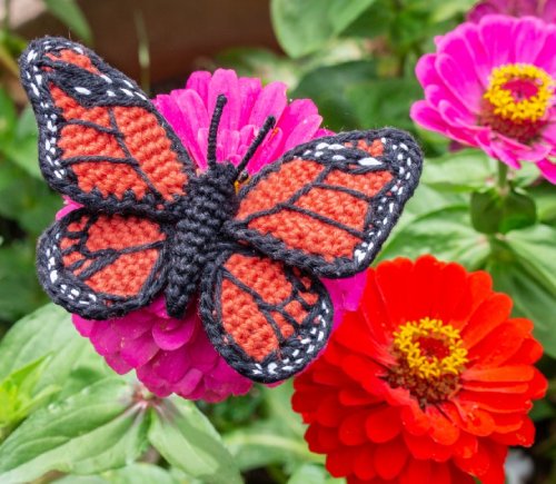 Monarch Butterfly Amigurumi Tutorial
