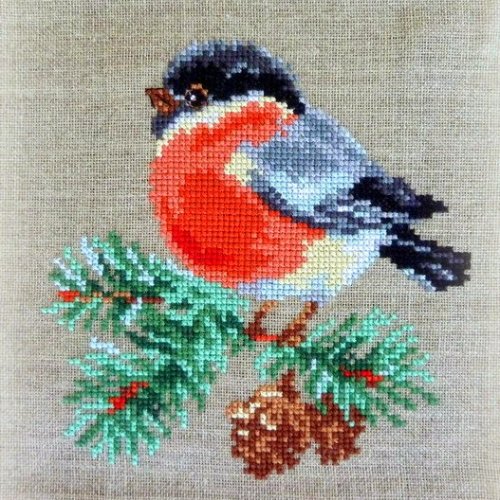 Cross Stitch Bullfinch Pattern
