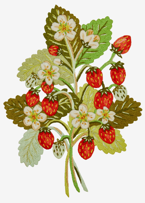 Embroider a Strawberry Delight